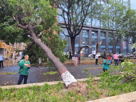 暴雨後的石家莊