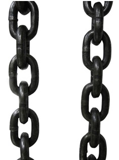 起重水蜜桃在线视频观看實物圖 起重水蜜桃在线视频观看實物圖